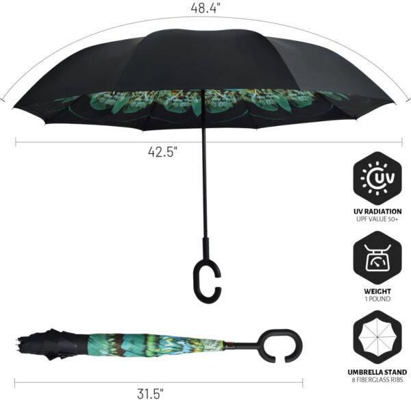 Inverted Umbrella Double Layer